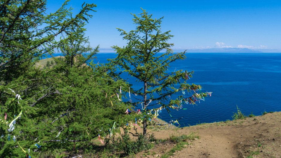 Закладки для книг природа