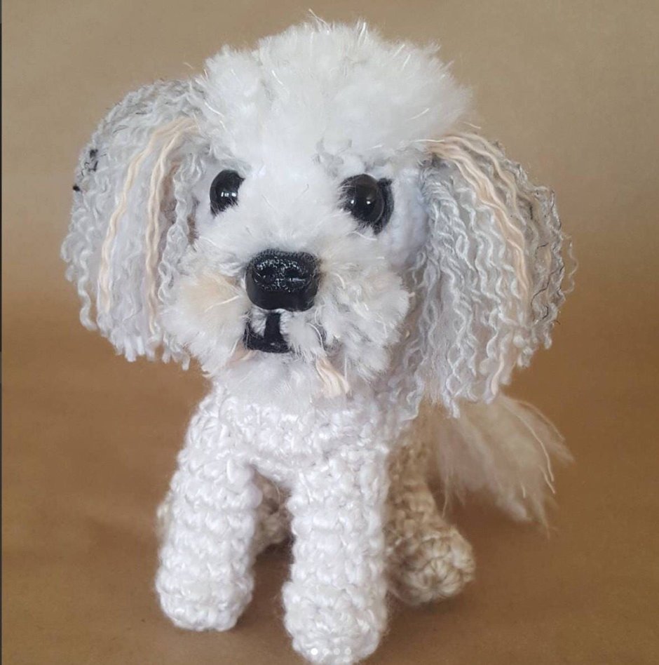 Бишон пудель рыжий