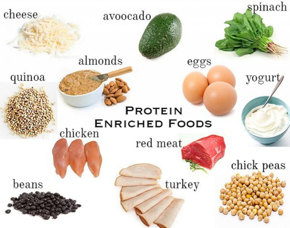Protein-Rich products.