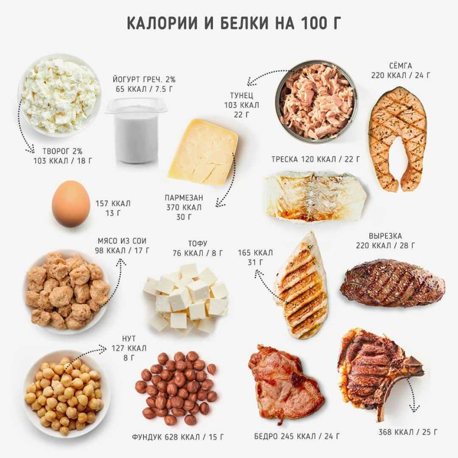 Источники белка в продуктах