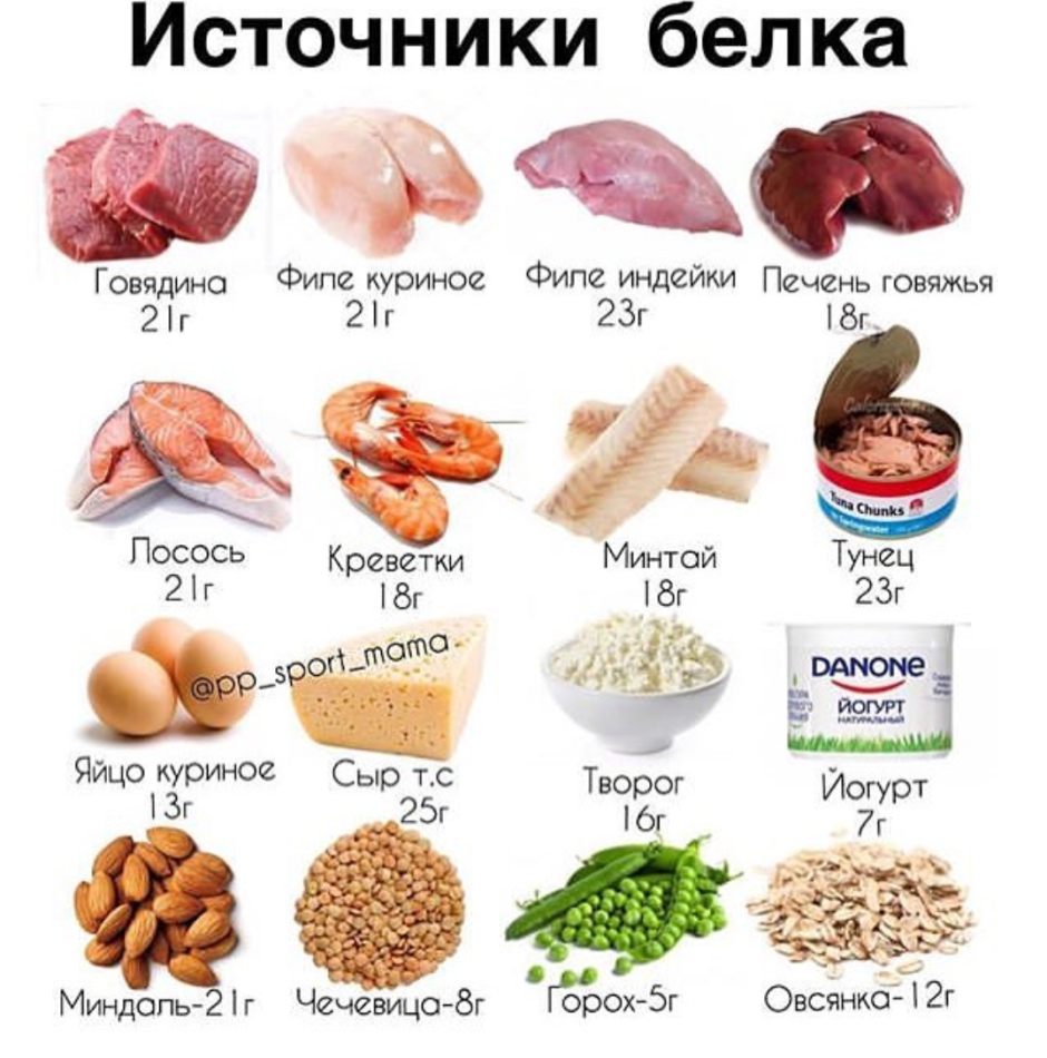 Продукты питания содержащие белок