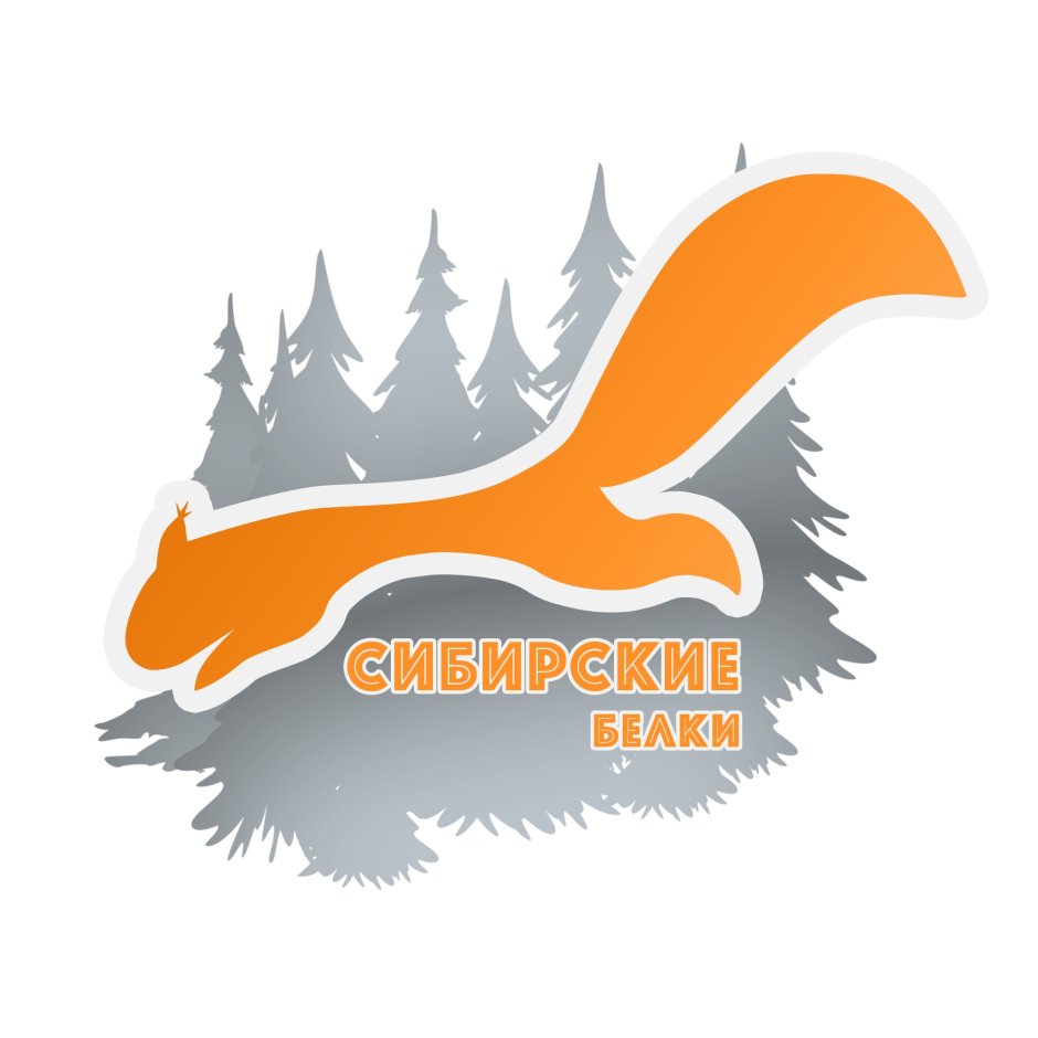 Белочка в снегу