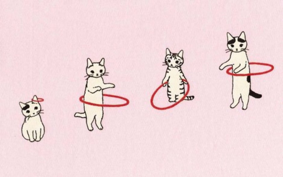 Йога котики