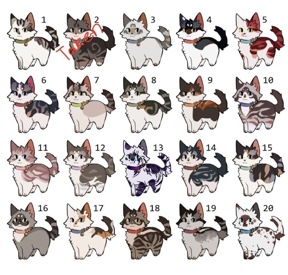Коты Воители окрасы