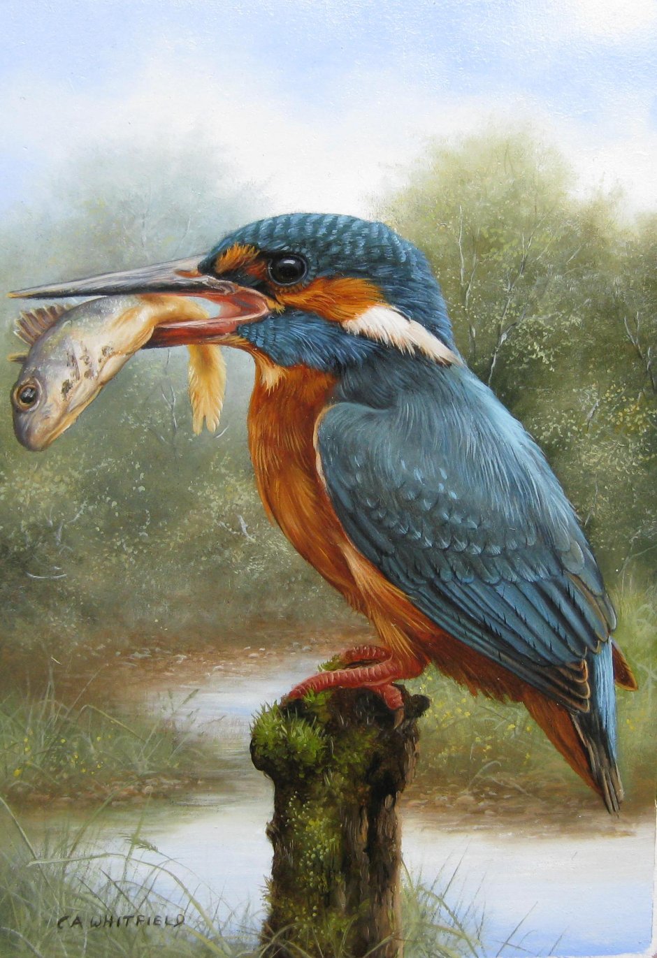 Художник Carl Whitfield (b.1958)