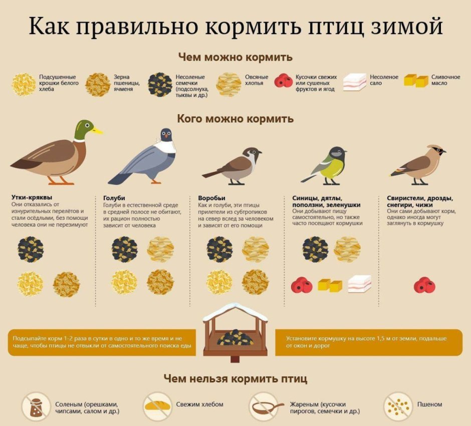 Корм для зимующих птиц в кормушку