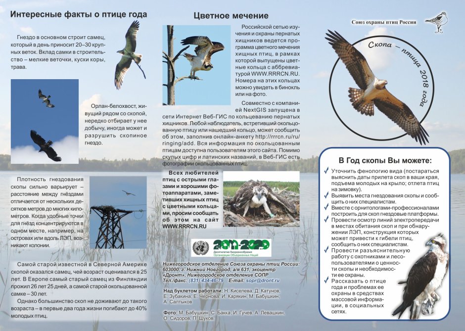 Листовка охрана птиц