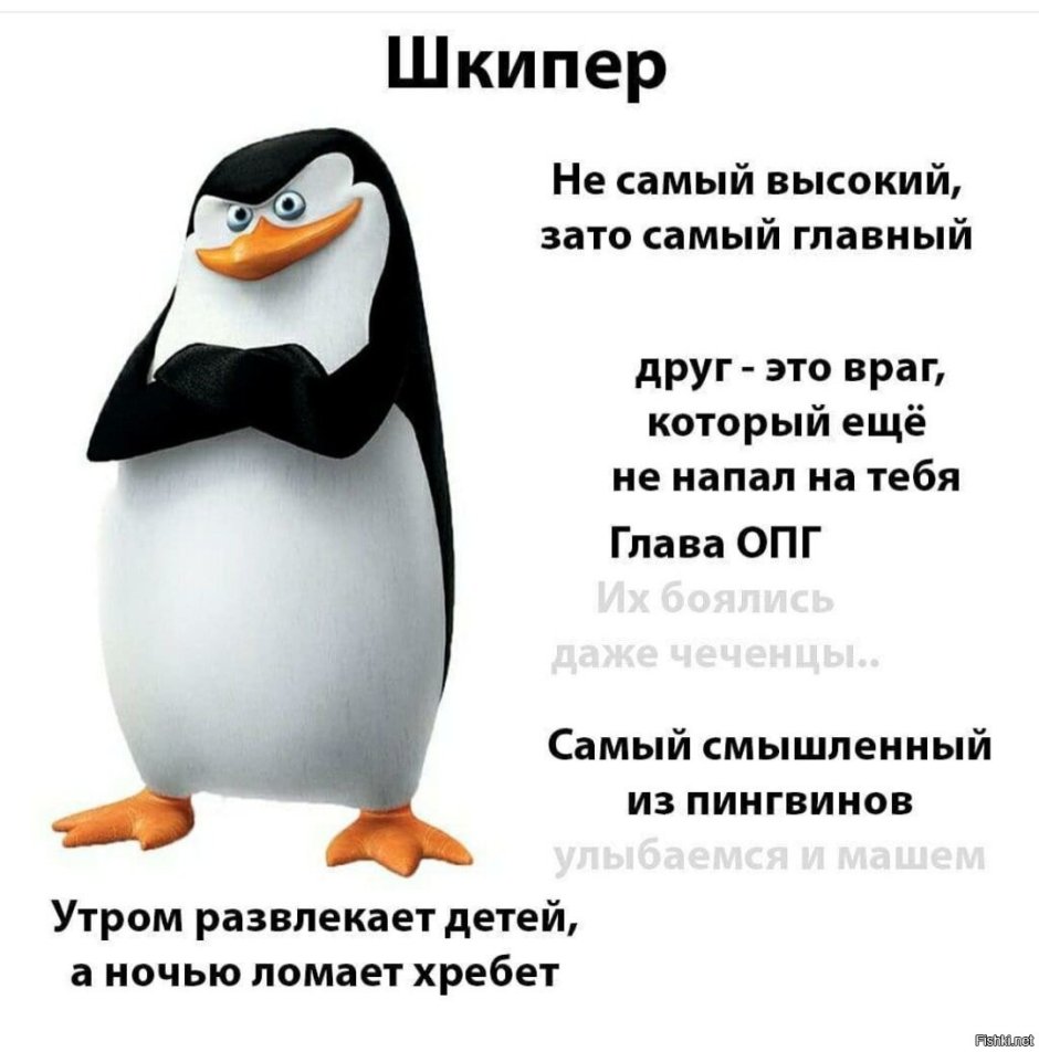 Пингу мультсериал кадры