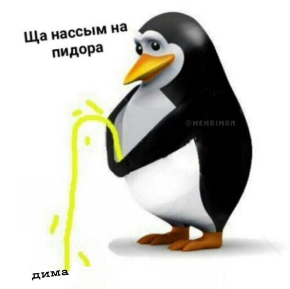 8800 555 3535