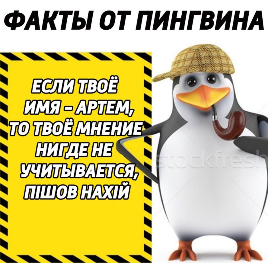 Пин Мем