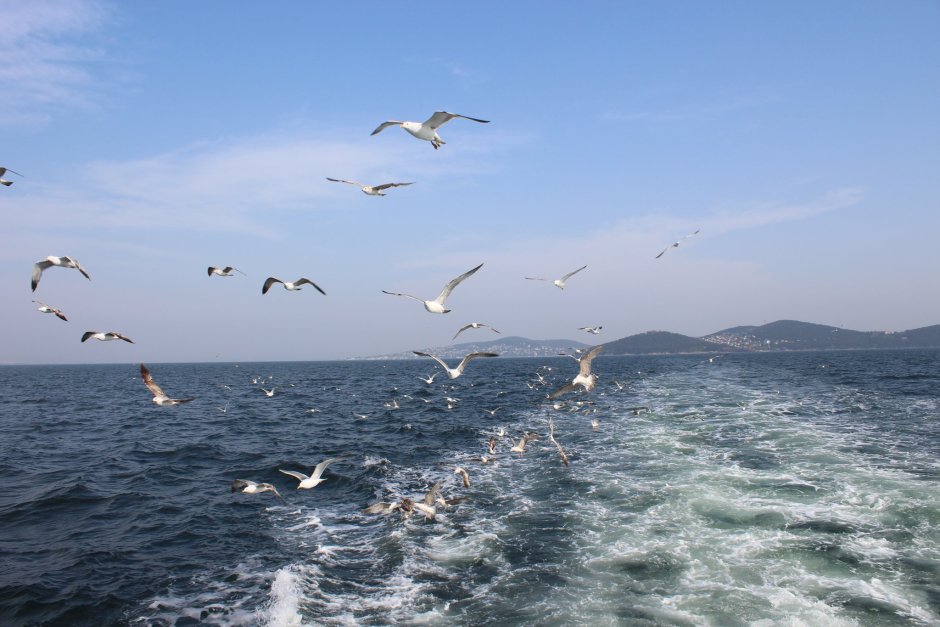 Мальчик бежит к морю