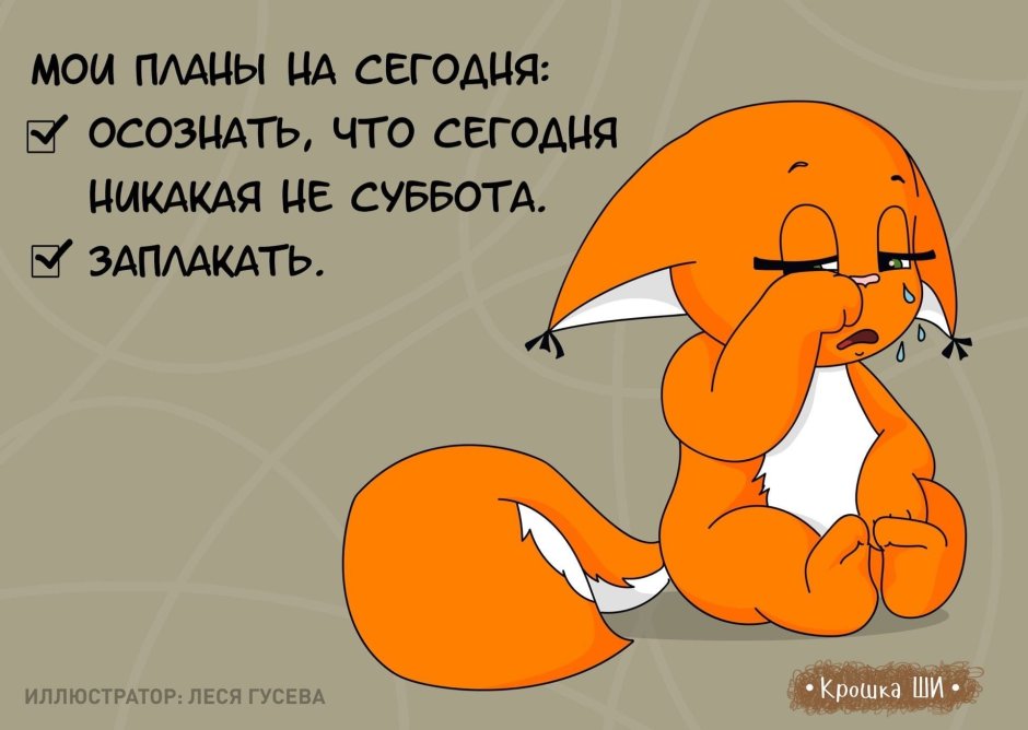 Крошка ши утро