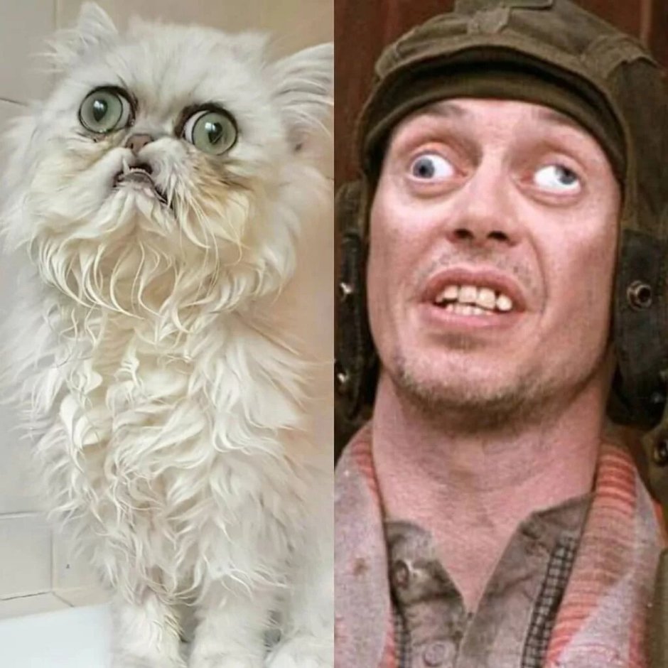 Самый страшный кот Уилфред