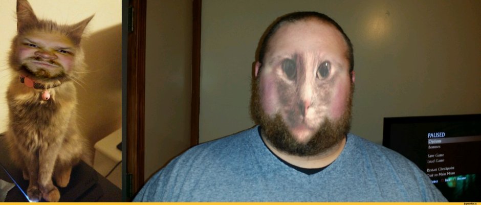 Jazzy сфинкс