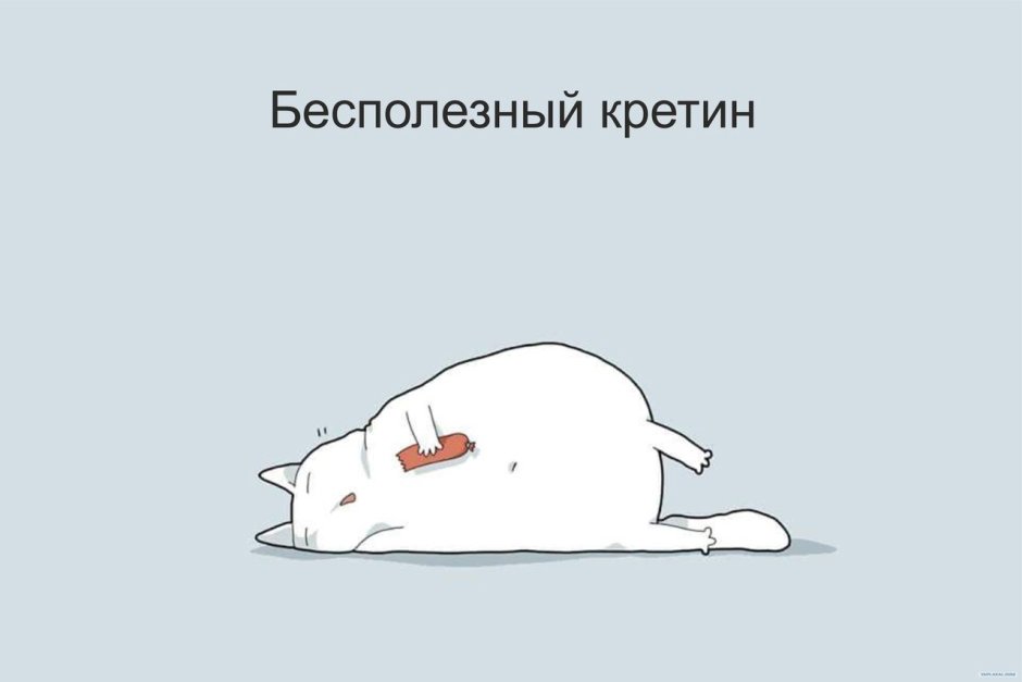 Ленивый кот рисунок
