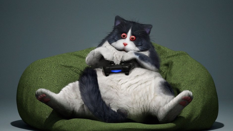 Жирные коты