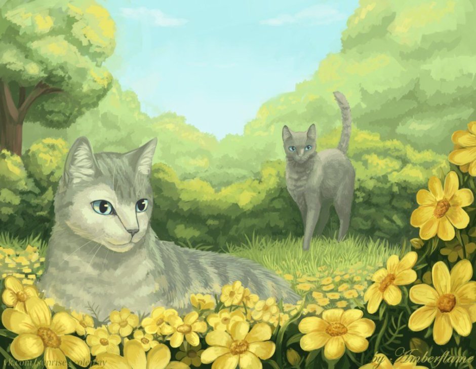 Коты Воители небесное племя
