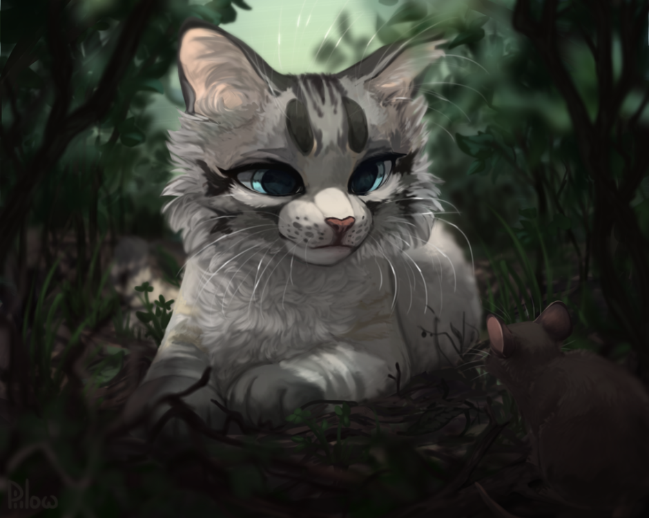 GRAYPILLOW коты Воители