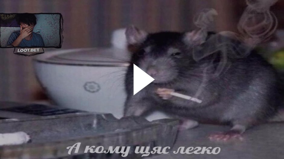 Крыса 3д
