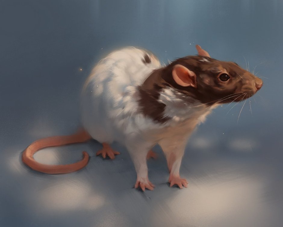 Мышь rat 3