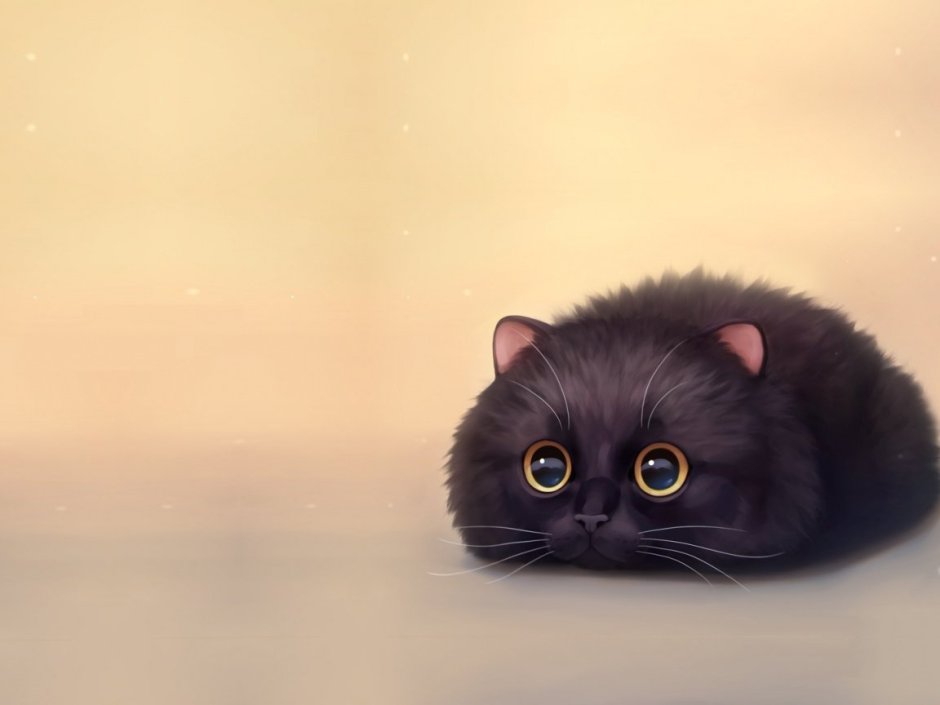 Милый чёрный котик