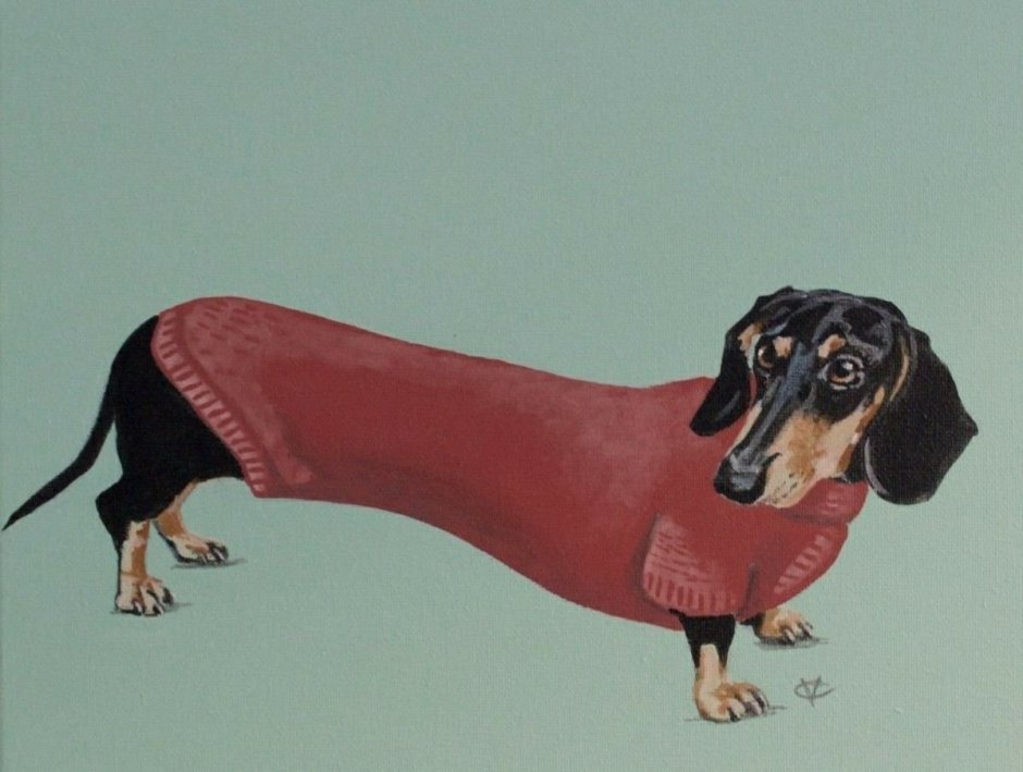 Такса Голден Даксхунд Айседора Дункан