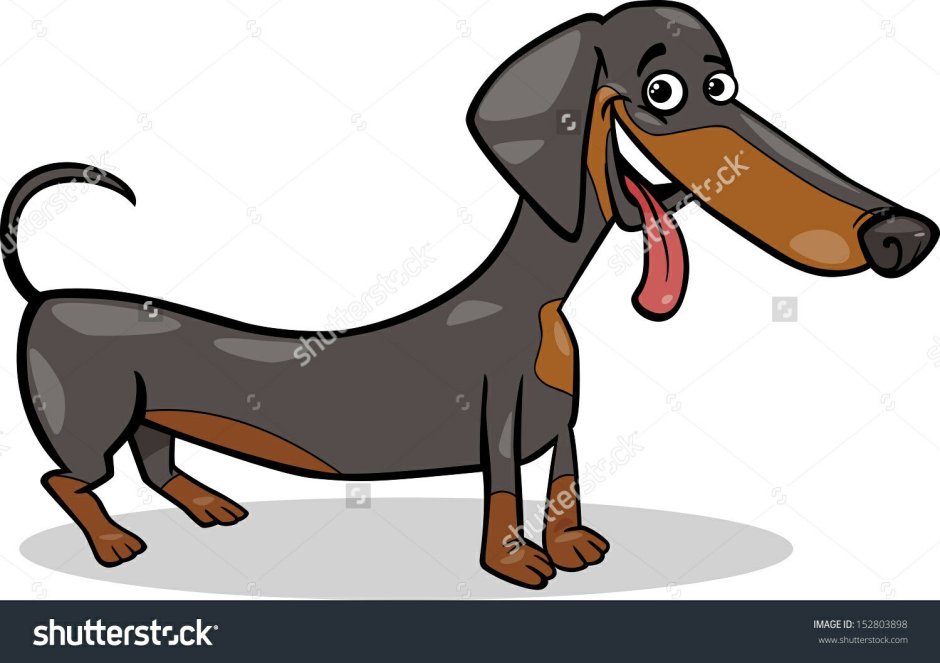 Мультяшные длинные таксы