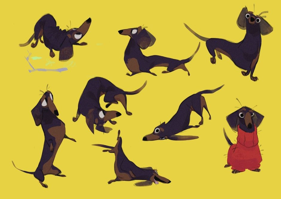 Референс собаки таксы