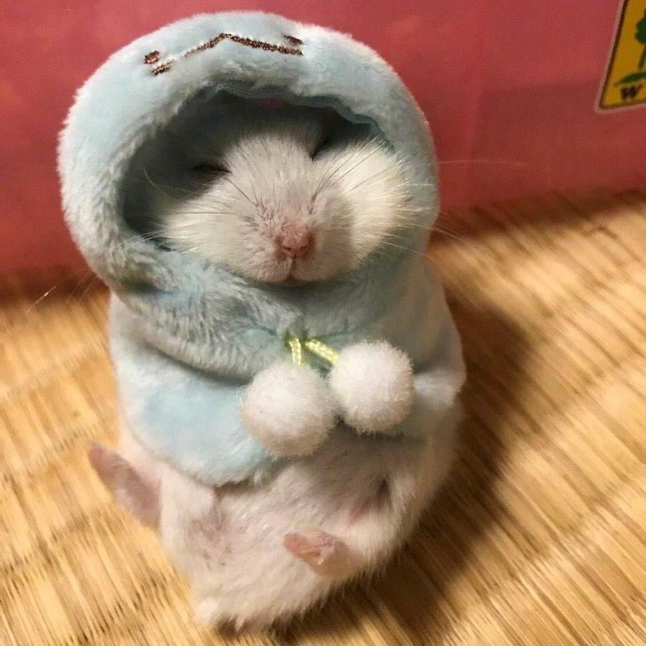 Милые хомячки в костюмах