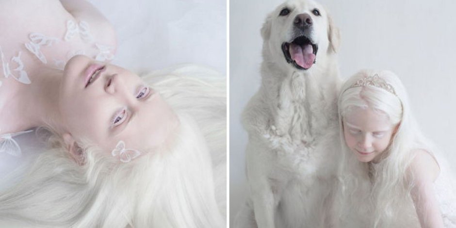 Кроличья такса мраморная