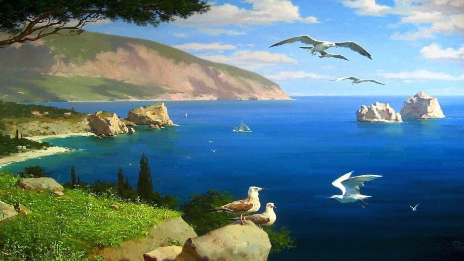 Залет средиземноморской Чайки