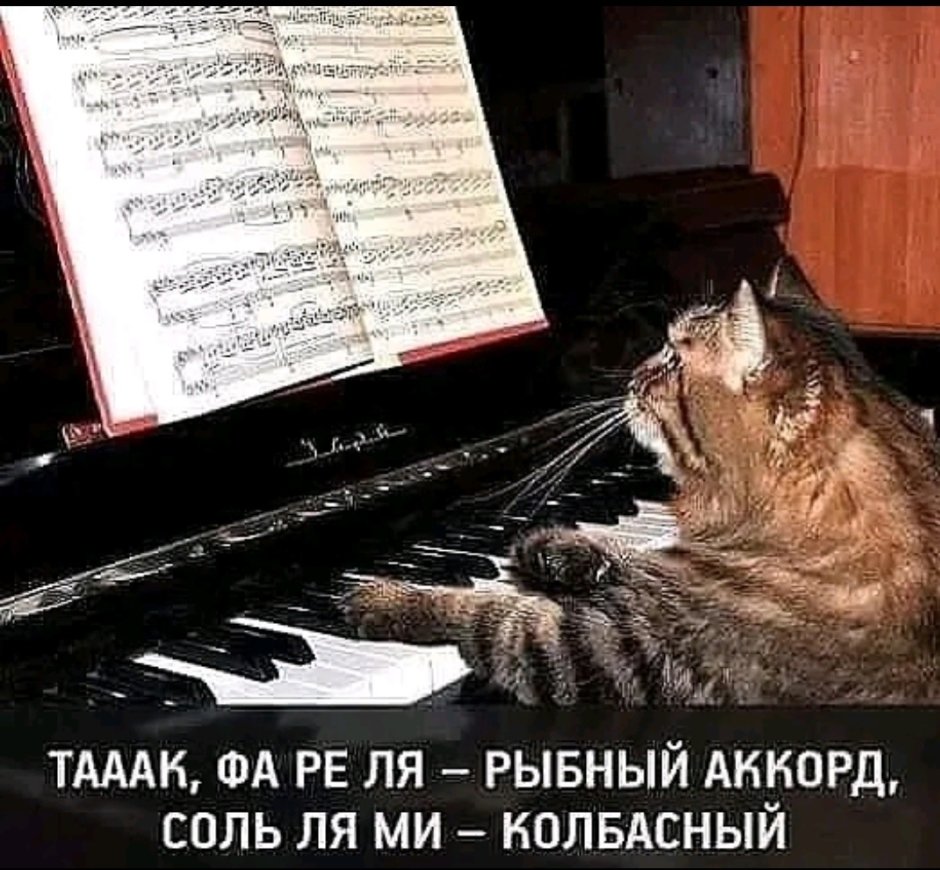 Bongo Cat пианино