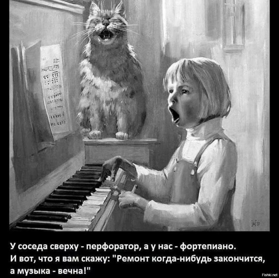 Мужчина кошатник