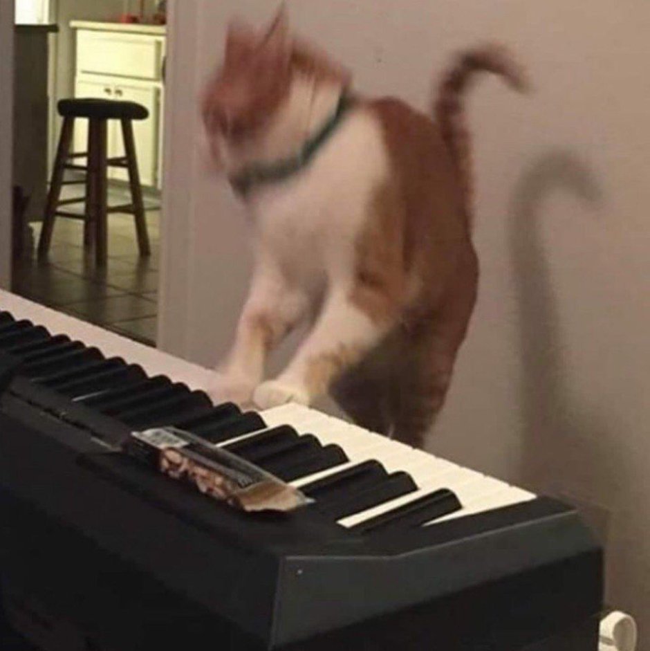Макото Мурамацу картины