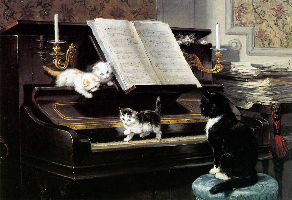 Котик музыкант