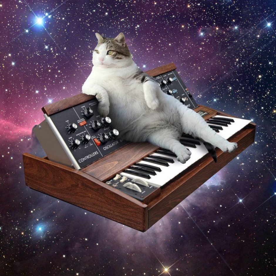 Кошка за пианино