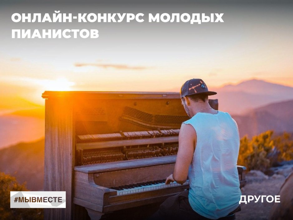 Кот на пианино