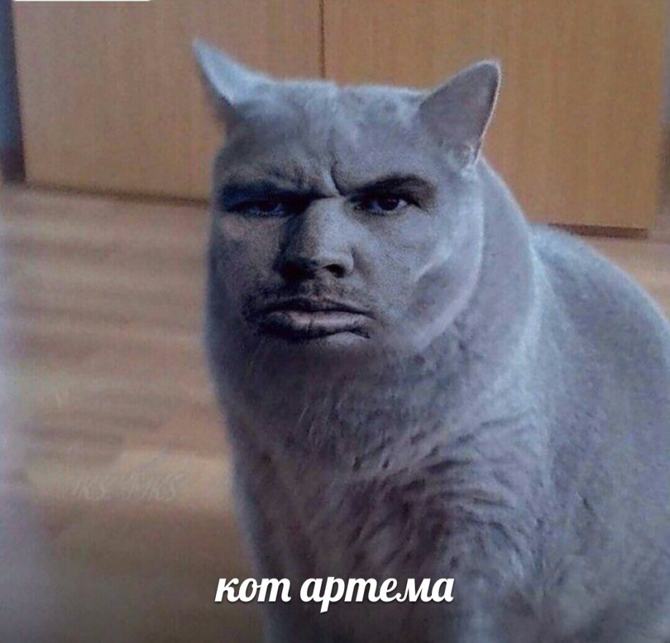 Стих если в доме нет кота