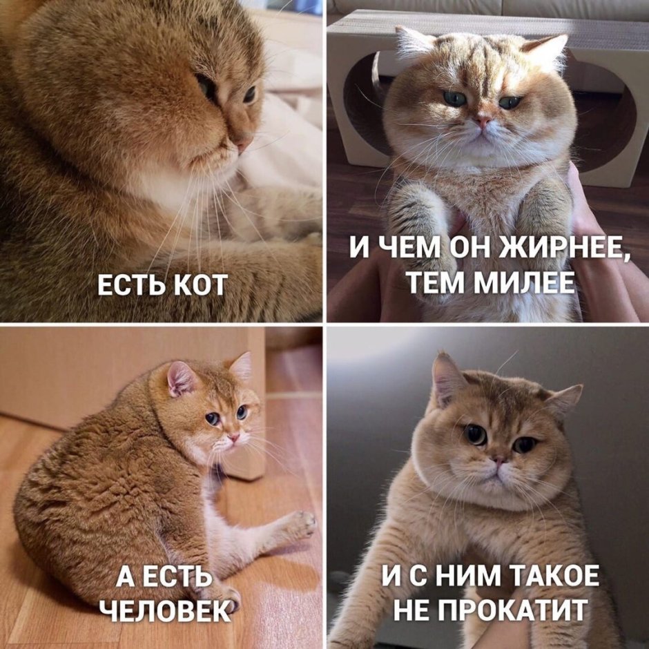 И снова снег