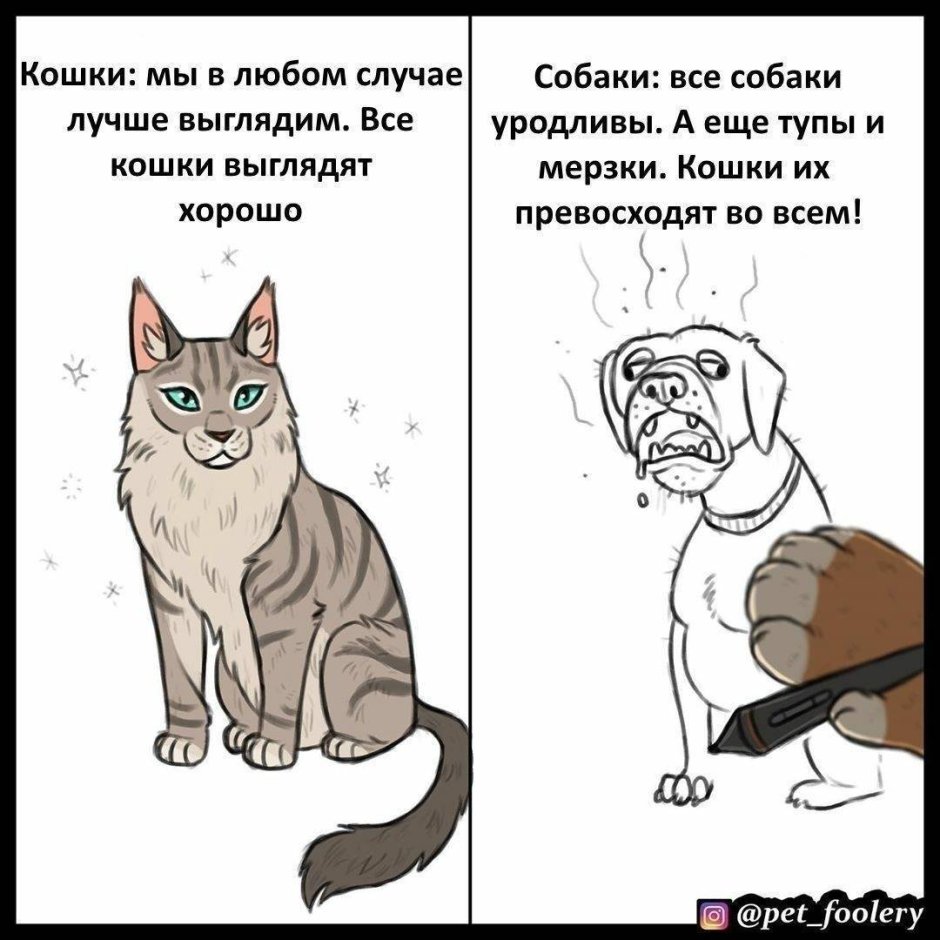 Комиксы про кошек