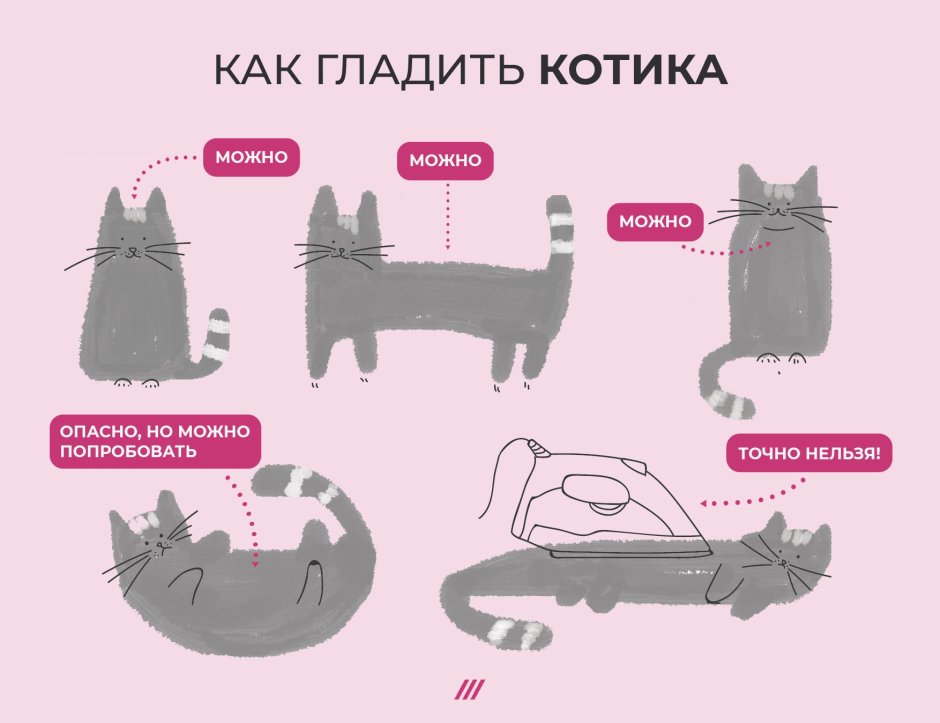 Смешной серый кот