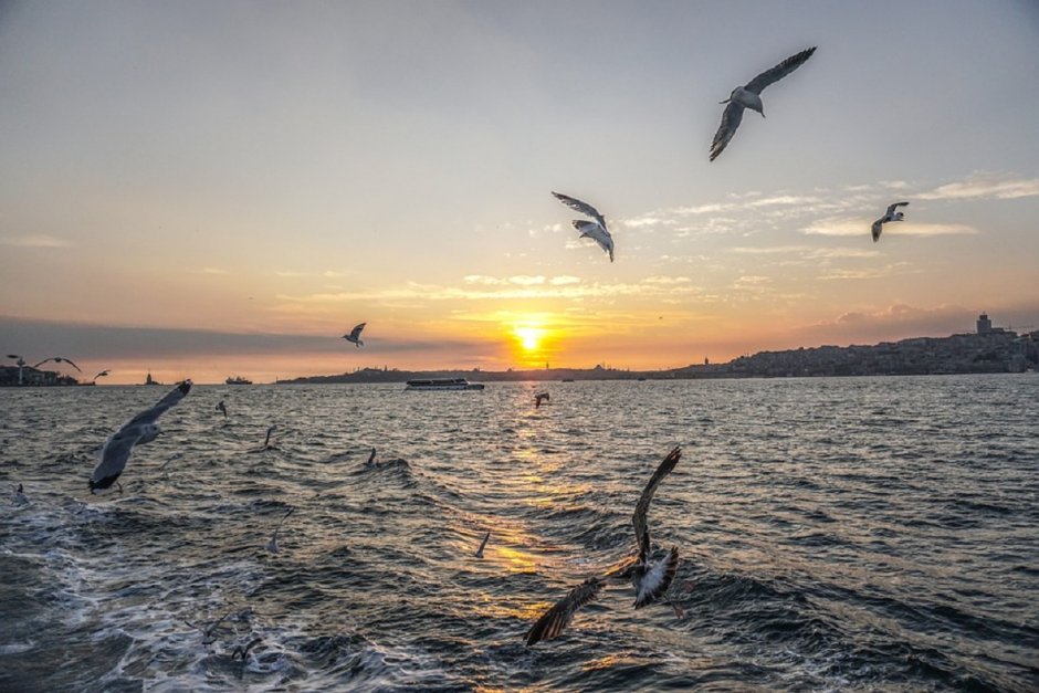 Остров Тюлений в Каспийском море