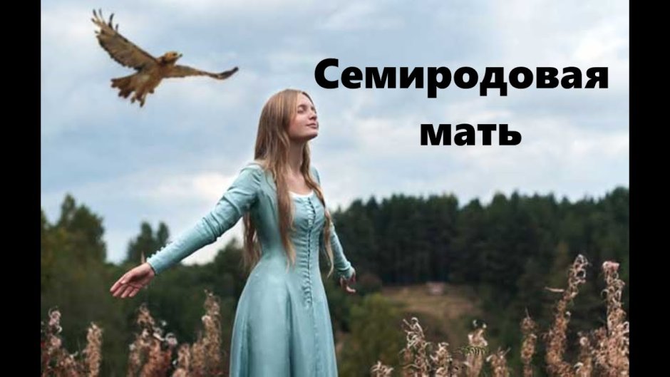 Сокол эскиз цветной