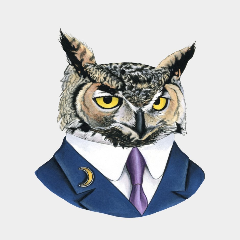 Кот с сигарой