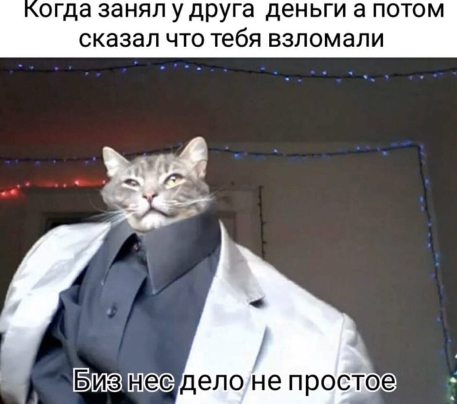 Котик с галстуком бабочкой