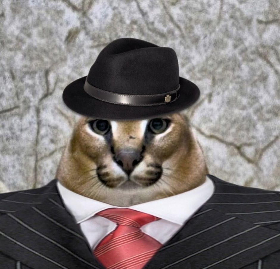 Деловой кот