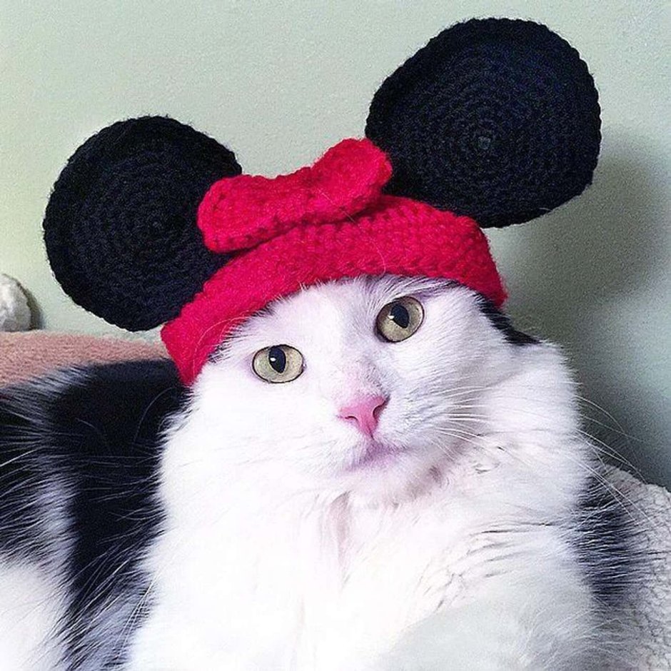 Польская марка с котом