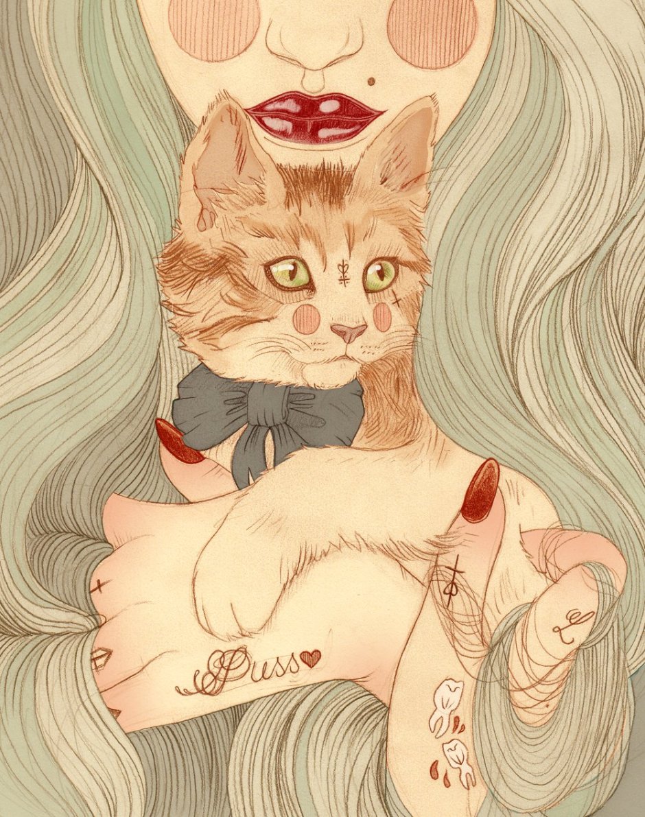 Котики Эстетика