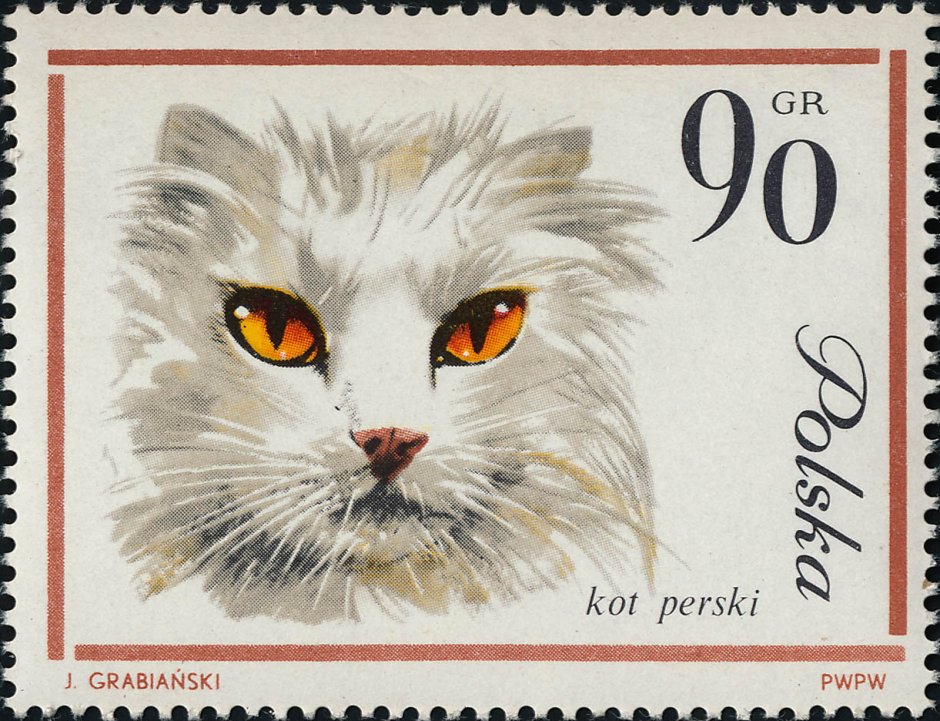 Модные коты