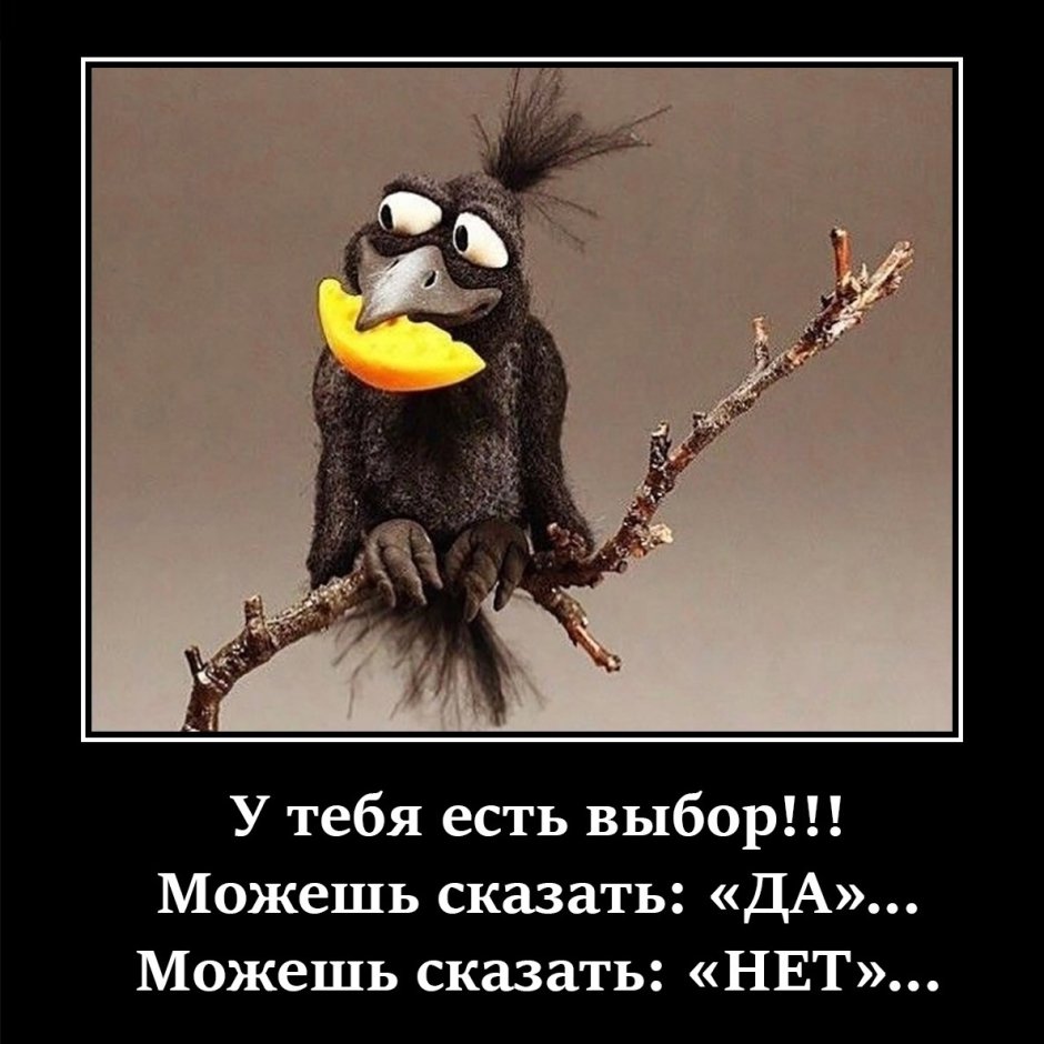 Прикольные открытки